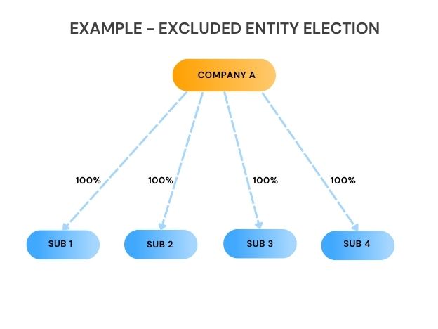 Image showing 'Example Group Structure for Excluded Entity Election Example'.