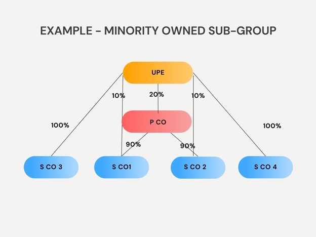 Image showing 'Example Group Structure for Minority Owned Sub-Group Example'