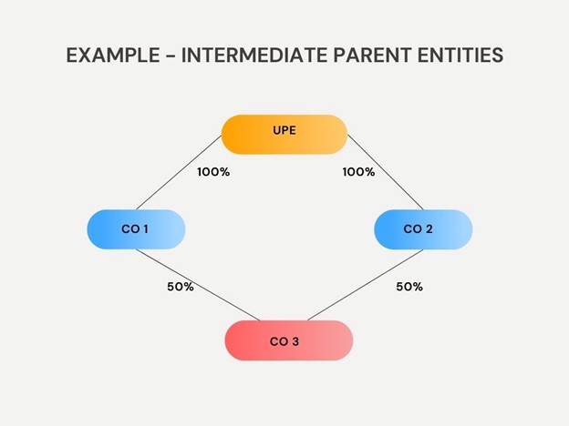 Image showing 'example group structure for intermediate parent entities example'