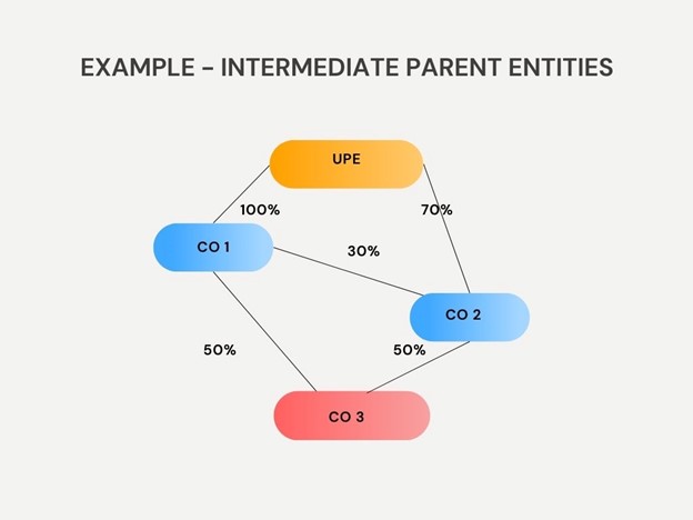 image showing 'example group structure for intermediate parent entities example 2'