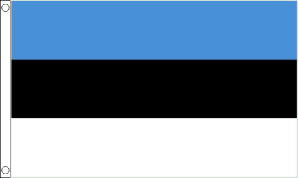 Estonia and the Pillar Two GloBE rules
