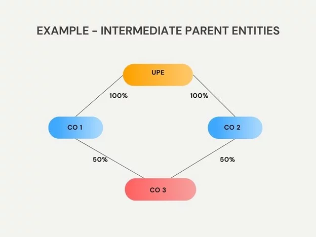 intermediate parent entities